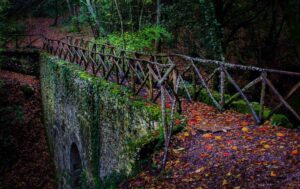 Il camminamento del Ponte Cardona in autunno