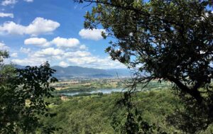 Il lago di Recentino visto dal bosco Cardona, nei pressi dell'acquedotto della Formina