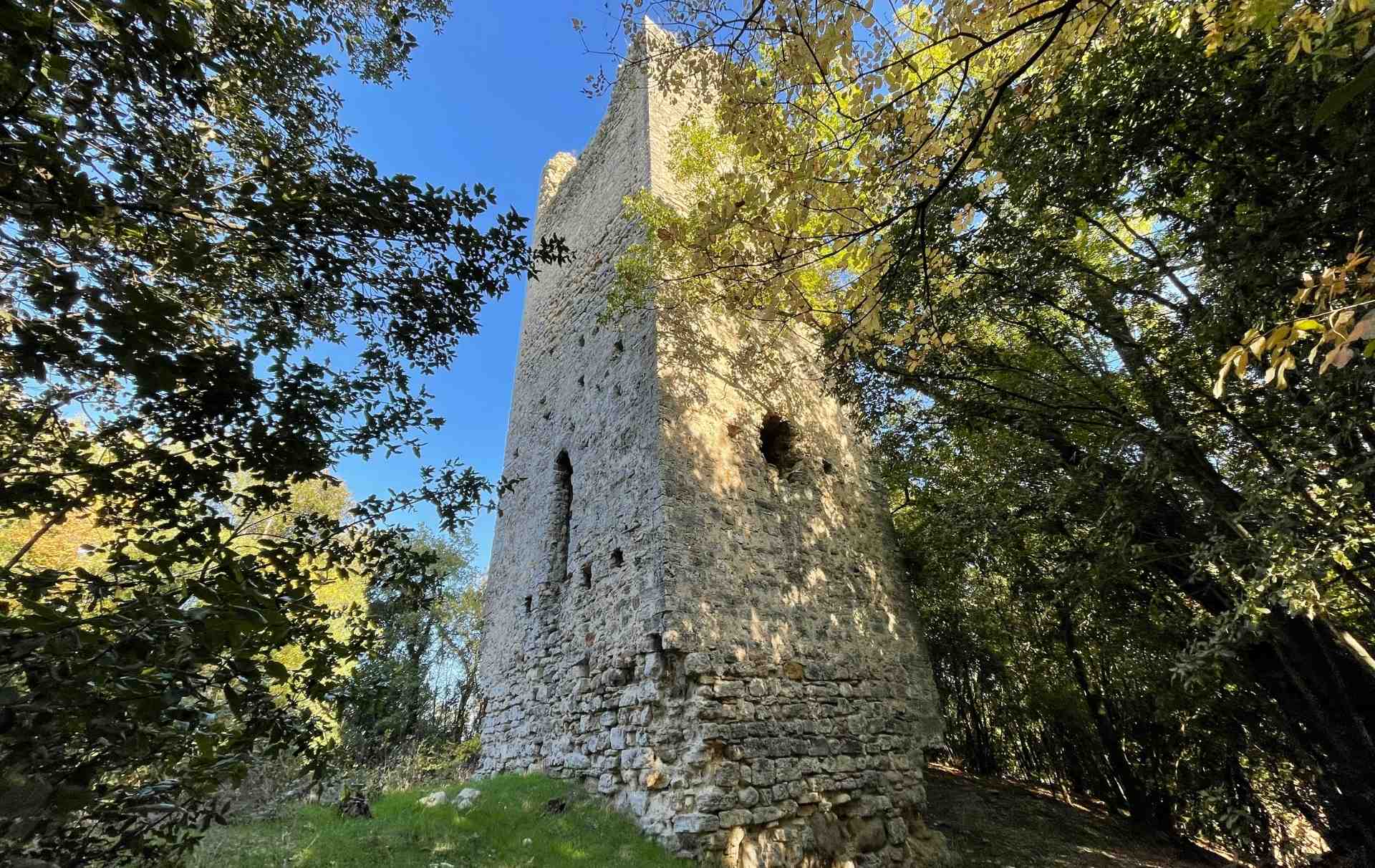 L'antica torre del castello di Bufone che si innalza nella vegetazione sulla collina